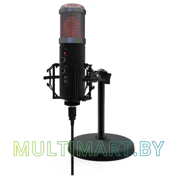 Микрофон Ritmix RDM-260 USB Eloquence картинка 3